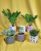 1df53fc176cf5a504a325b1473bd5b3b