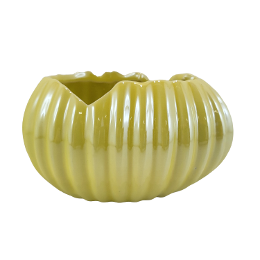 DONICZKA/OSŁONKA SKORUPKA ŻÓŁTA PERŁOWA 11X8X6 CM