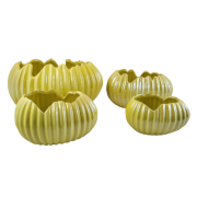 DONICZKA/OSŁONKA SKORUPKA ŻÓŁTA PERŁOWA 11X8X6 CM