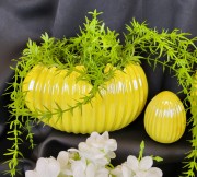 22feb7de3418c5a756d162780a3c025c