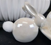 11028fe9f1394c531db1abbc873dc30e