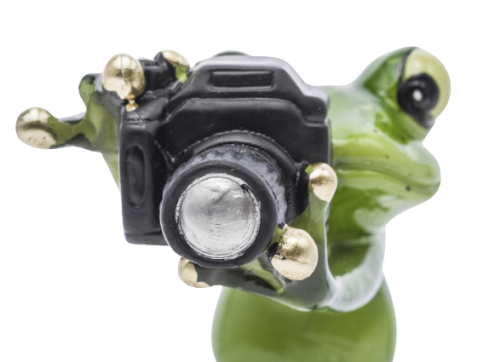 d7135bcf006fa3429a6f447d00fd6385