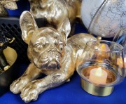 8ddc79aed1e5433af5b7ab0b622981fc