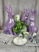 1559511c715eac5dae1a4a781ff180a1