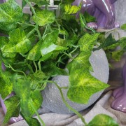 93480786e6592daf67cda3aea22940b2