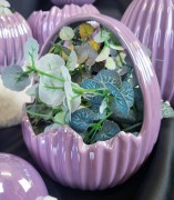 a7c1784bc57ffc2ee6a4c63b8d5c9452