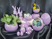 4e4f6eb3ab2485a0e2d87aad31df9510