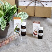 0609debbadae7a5392d506df11284049