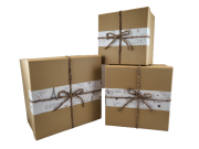 3b46e5c1240a19657734220926f393bd