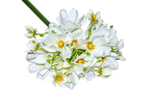 019204198e1aedd2e1f33f1f6a86b548