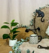 2e3a034a69716857820771c6032e204e