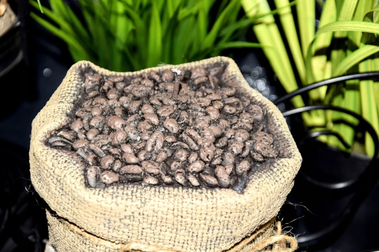 e572176d13b125c0537b0fb5afd0ba93