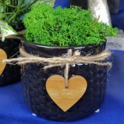 7ee5ac242463cbc3594b0d581873511d