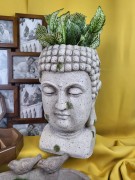 54cb254e4d2511c22d5fbb5fc5a80840