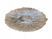 fca4b868cf6c8a51b85e5d354fd49b3e