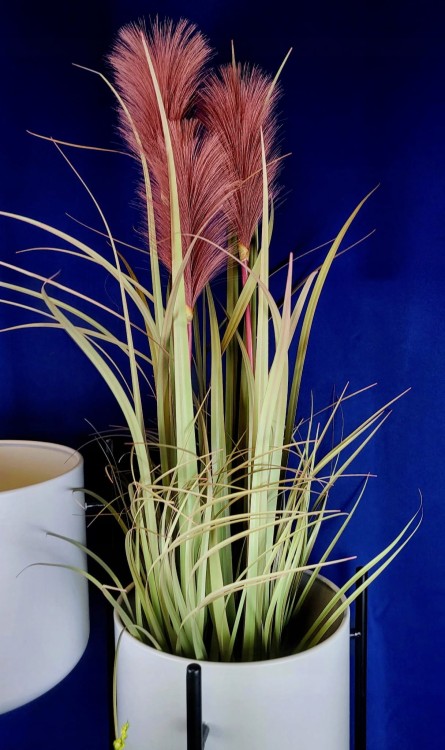 17042d125aecf6e29476b5dfd15243c6