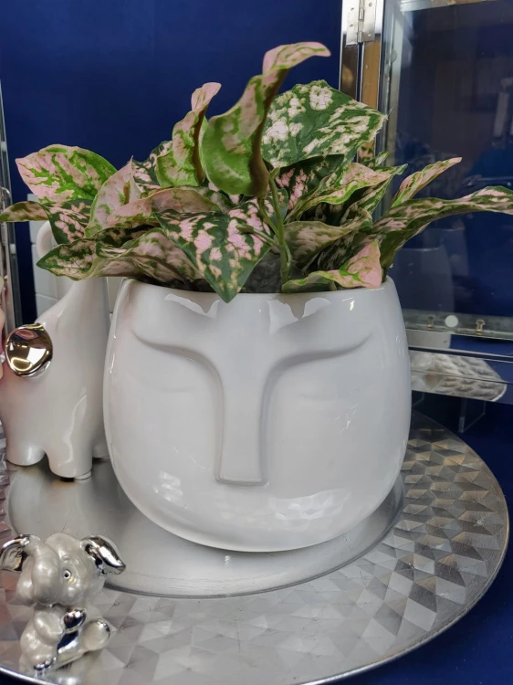 7dbb52b28bd5862e073f19bff63e417b