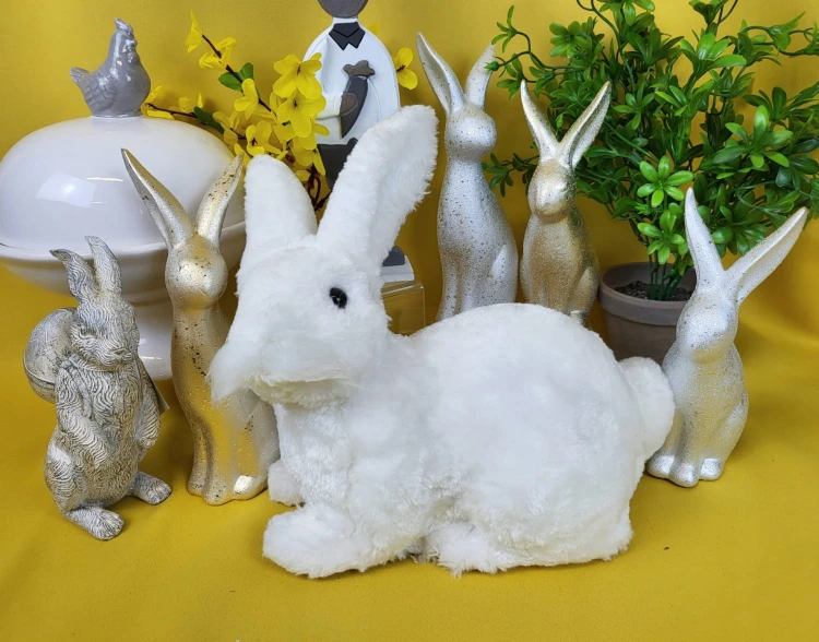 9218bb85129940a4cecdb2f661ce333d