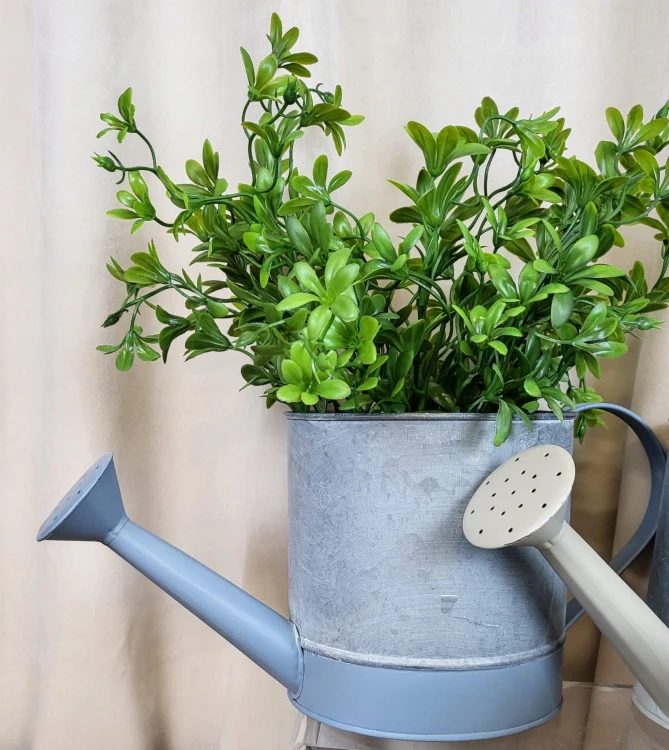 56eabd36b01f25ba7653d25e5178b3e6