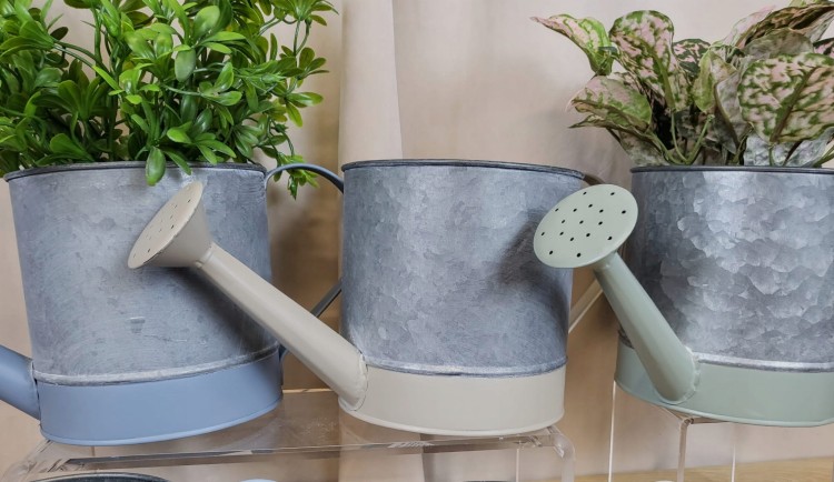 171eb360aa8b114a04a56c9d4a991e79