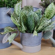 4f9b80228cc8b4e7ff008a4376ae7e59