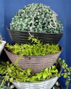 bcf61e7991230bafa4c2b366b80dbd6c