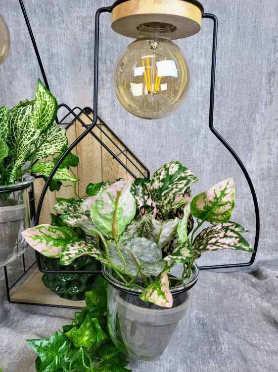 7758f2fab78dd5675e4d0d402db09d5c