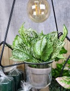 7fb7528a691159f9c74f69bcca77fd08