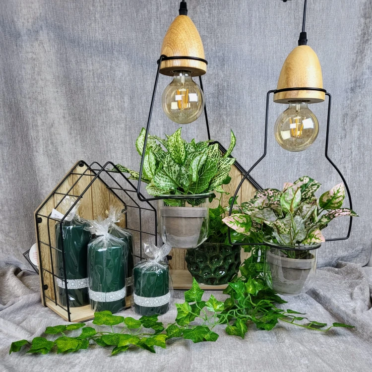 c50c8bba90ed0edc7deed2c76a245292