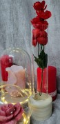 caa99fc1687cf041fa3b6979d50c70e7