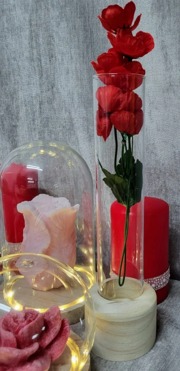 1e08f6b7489c34ff56c91d2e69757d91