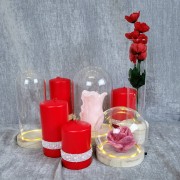 a01ae53c99622afd2728384ec41d7981