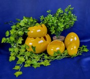 8993f684a2f93d3cd861452fc6ac1954