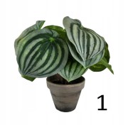 ff39d0181da0e96191ac442093775969