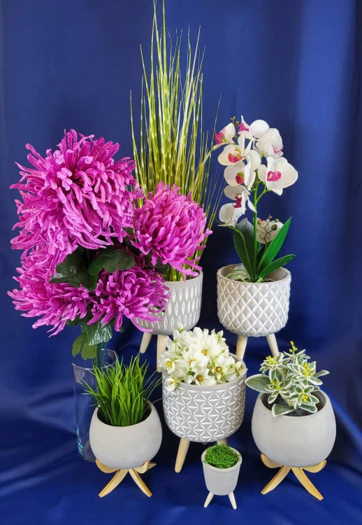 466b003cf22573a6f6161fd4ef46bf37