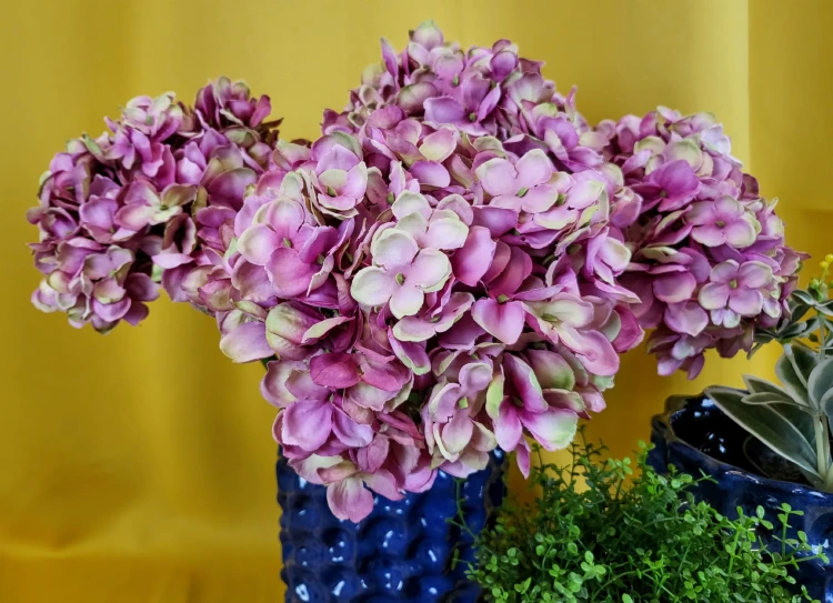 72139a3c616b6498b35009467d2055d0