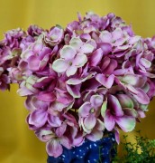 33ab537d1c90a717b5aba88e5839ac70