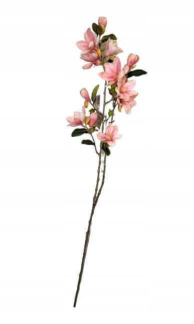 24fbcd95e27dd21fae94396b06b3f13c