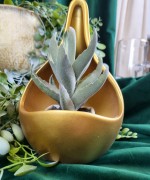 4dbc56199461af1d761e117503c1a71a