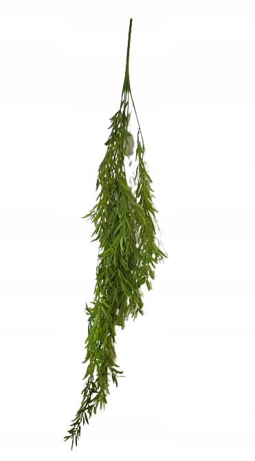 1d1ec52ceb1255b94c349224acab724e