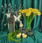 1f1d9914b8ae8dd73829a167cafb62b7