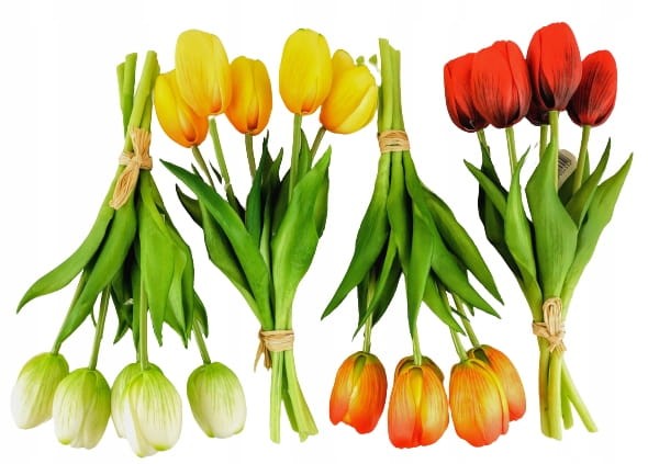 4548e78ec0ca53a6ee4e545d67282af5