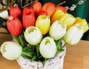 a4558d5feb24bdca2444a7b422938f1e