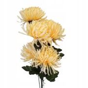 b094e34cd16cdf608ee61089f20d36b9