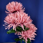 d679a5f4b2306d3431e7b374ebf66360