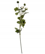 57d215f231a61338c3cc8931ce140bd8