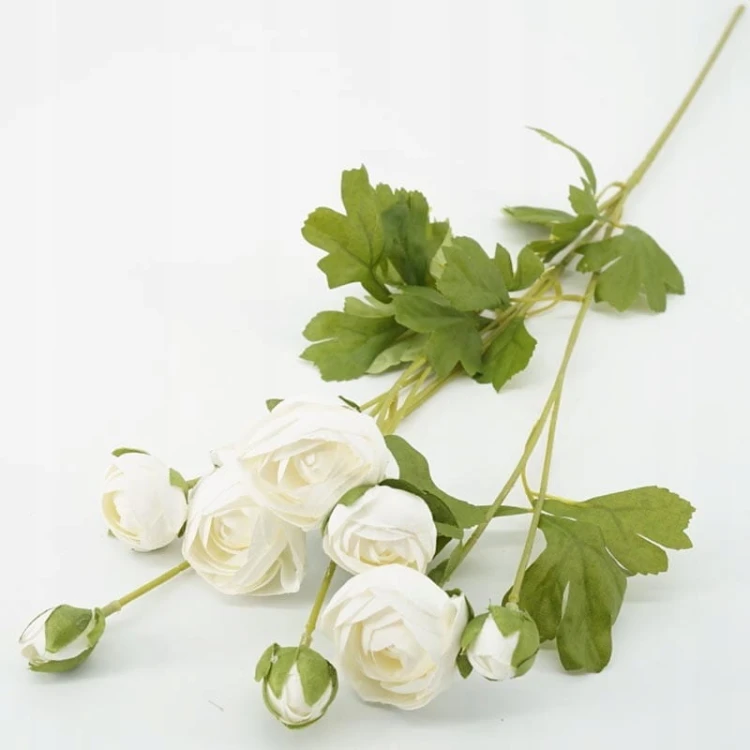 0ce4be2717b020853471c7f287e7700c