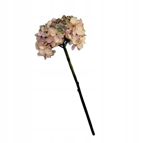 4e015cc401be35ad53e42d9f6ce7c910