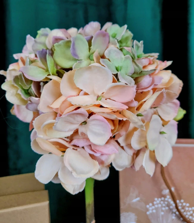 9ca3fcce6e164416fc98242bf5146c61