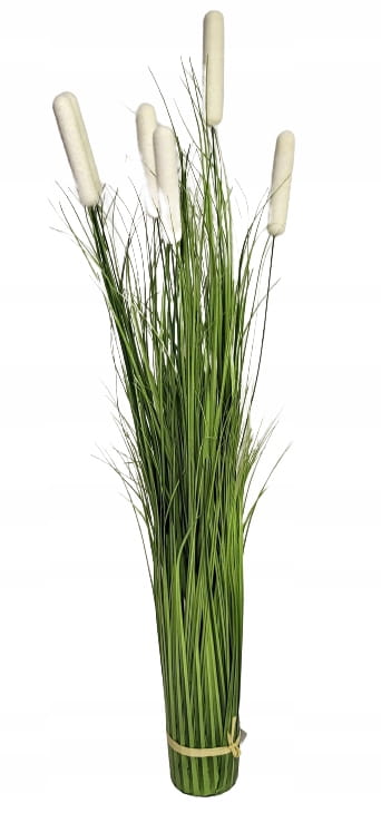 f3ccaae5b3b6e69bd39aff0ea503cfb4